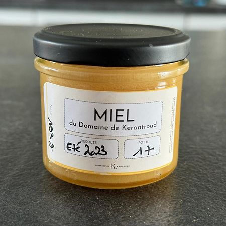 Domaine De Kerantroad Villa Plonévez-Porzay Eksteriør bilde