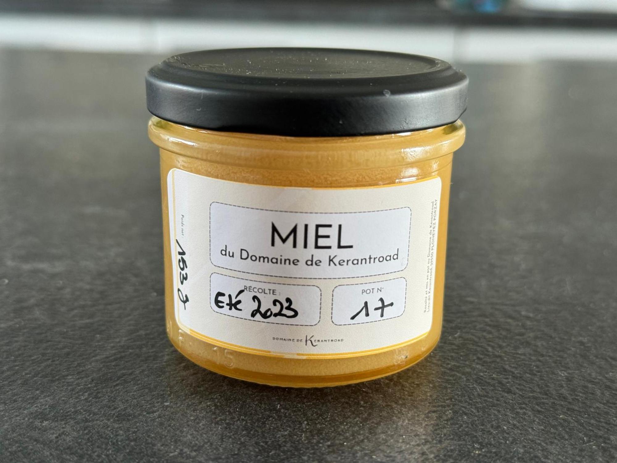 Domaine De Kerantroad Villa Plonévez-Porzay Eksteriør bilde